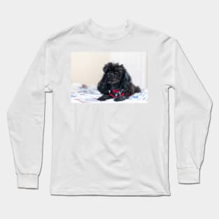 Queen of the toy poodles Long Sleeve T-Shirt